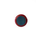 botao-0043-66--2-